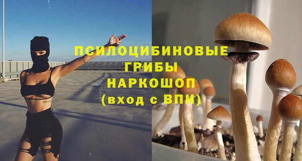 наркотики Богородицк